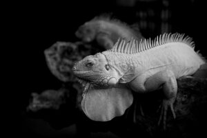 瀬戸内でのワーケーションに最適なスポットは？