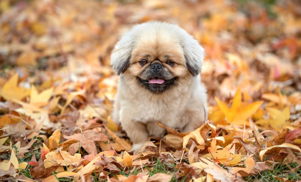 ワークライフバランスが乱れる時の効果的な対策は？
