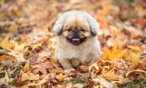 ワークライフバランスが乱れる時の効果的な対策は？