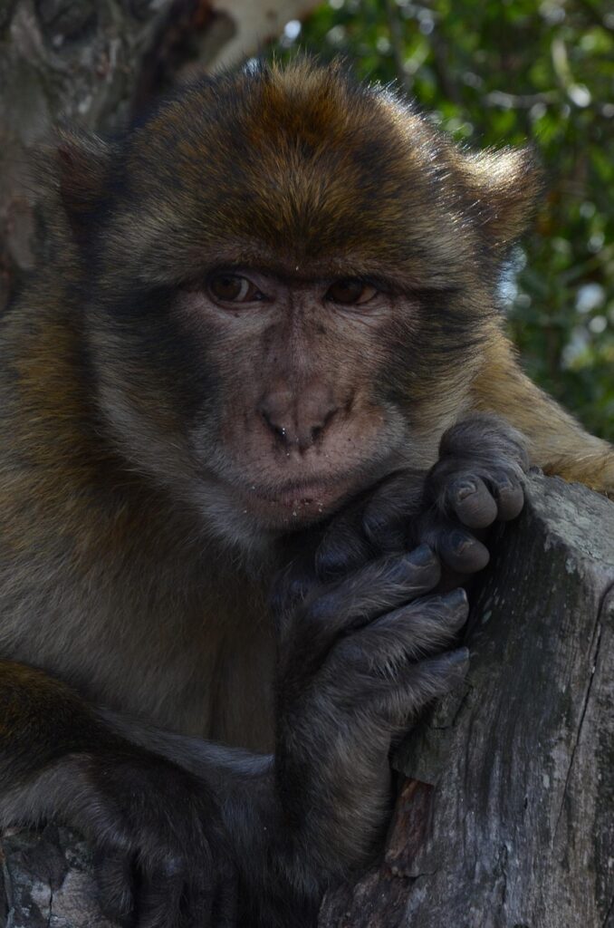 転職考えてるあなたに最適なワーケーションのメリットとは？