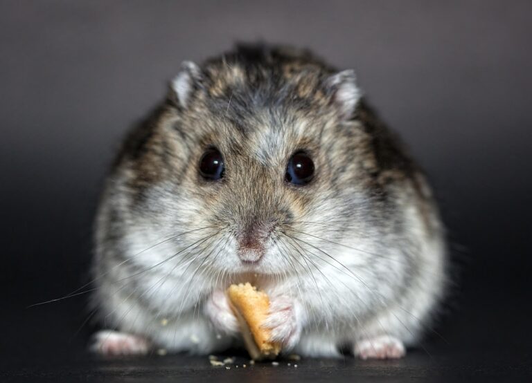 ソロワーケーションは何泊が最適？理想の滞在日数を徹底解説！