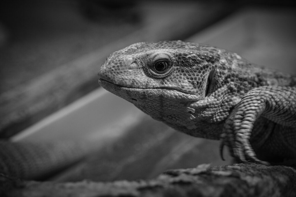 人生を整えるためのワーケーションの活用法は？